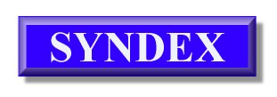 Click here to go to Syndex I